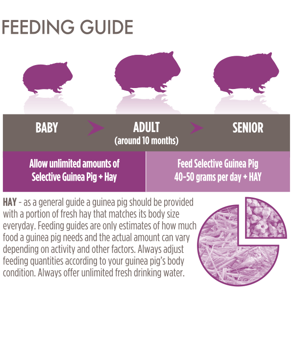 Supreme Selective Guinea Pig Food 2kg - 2KG - Shopivet.com