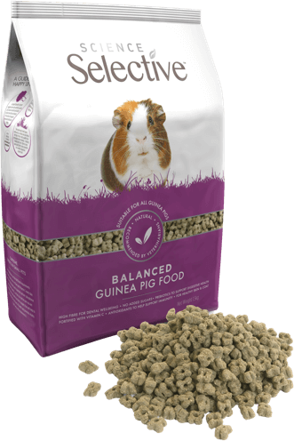 Supreme Selective Guinea Pig Food 2kg - 2KG - Shopivet.com