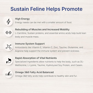 Sustain HDN Feline 100 g