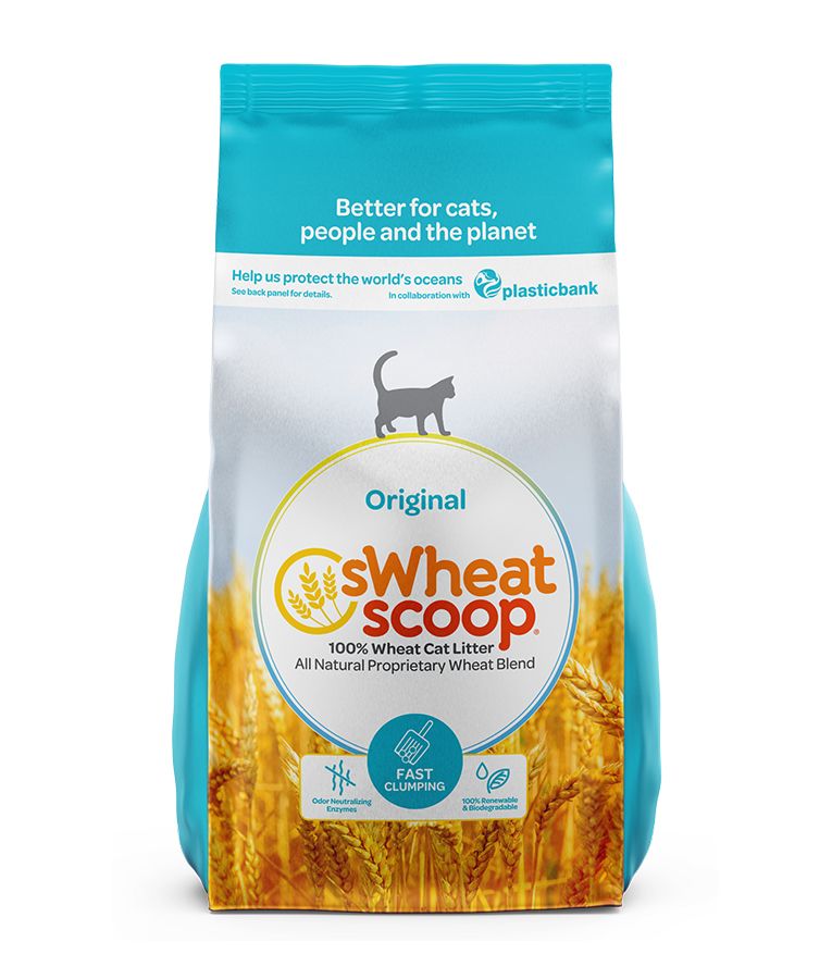 sWheat Scoop Original All Natural Wheat Blend Fast Clumping Cat Litter - 5.44KG - Shopivet.com