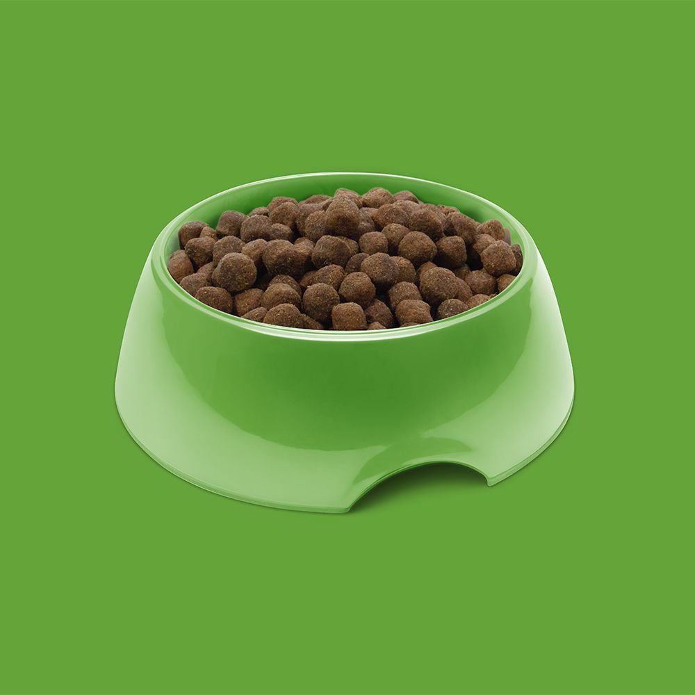 Symply Fresh Lamb All Adult Breeds Dry Dog Food - Shopivet.com