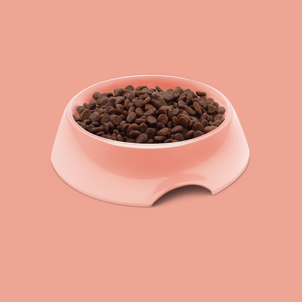 Symply Fresh Salmon All Lifestages Dry Cat Food - 4KG - Shopivet.com