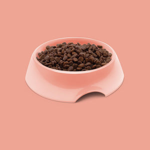 Symply Fresh Salmon All Lifestages Dry Cat Food - 4KG - Shopivet.com