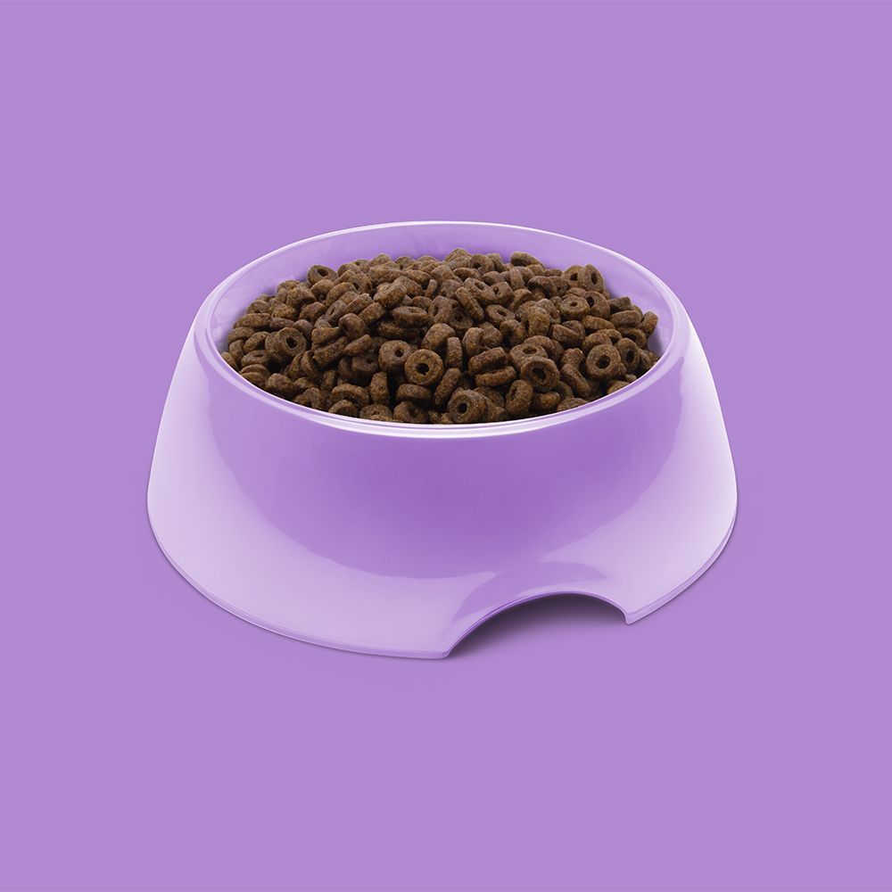 Symply Fresh Turkey Adult Small Breeds Dry Dog Food - 2KG - Shopivet.com