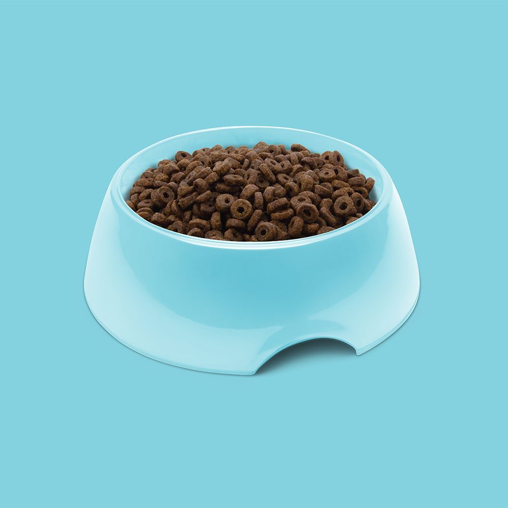 Symply Puppy Fuel Fresh Turkey All Breeds Dry Dog Food - 12kg - Shopivet.com