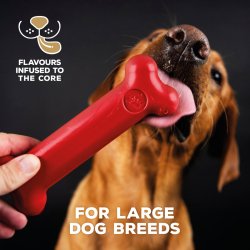 TastyBone Nylon Large Dog - Shopivet.com
