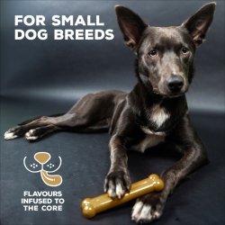 TastyBone Nylon Small Dog - Shopivet.com