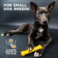 TastyBone Nylon Small Dog - Shopivet.com