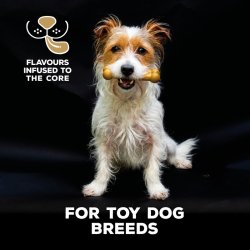 TastyBone Nylon Toy Dog - Shopivet.com