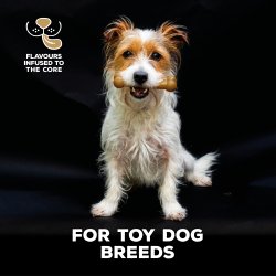 TastyBone Nylon Toy Dog - Shopivet.com