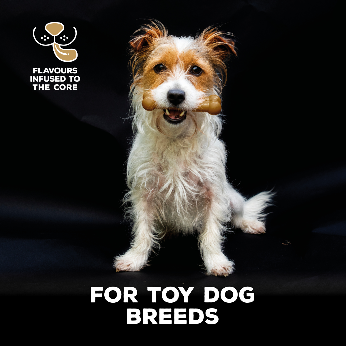 TastyBone Nylon Toy Dog - Lamb