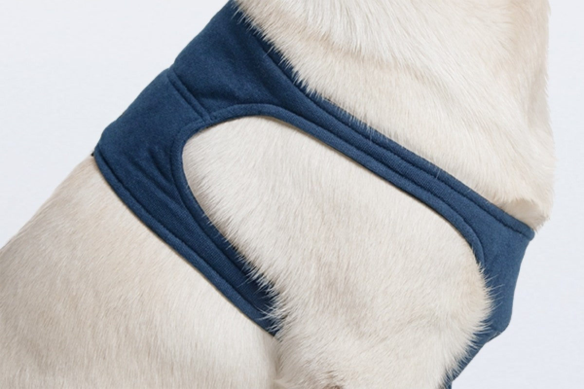 Taz Protective Leg Sleeve 2XSmall