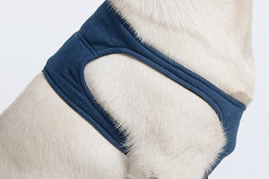 Taz Protective Leg Sleeve 2XSmall
