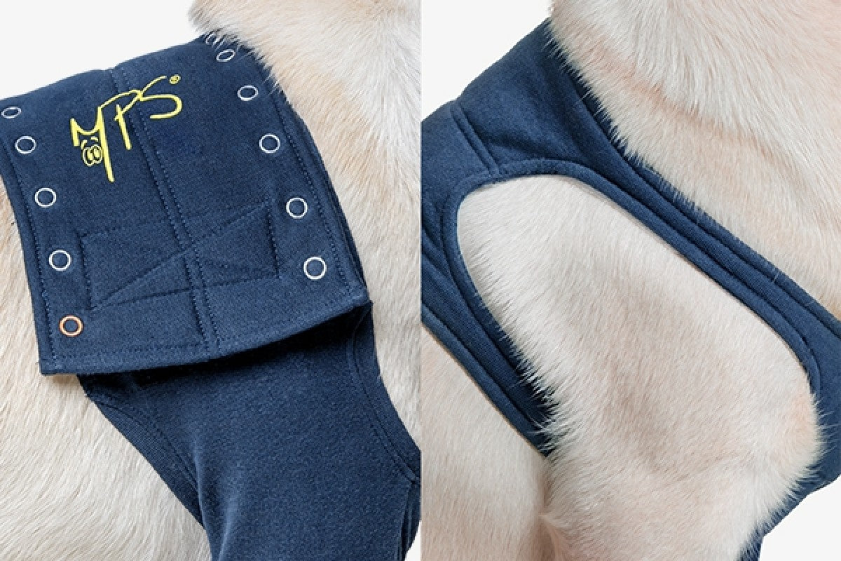Taz Protective Leg Sleeve 2XSmall