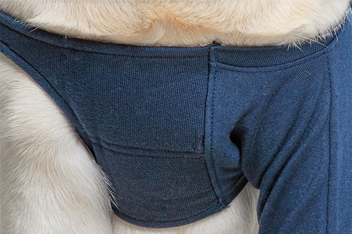 Taz Protective Leg Sleeve 3XSmall