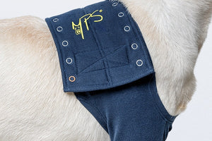Taz Protective Leg Sleeve 3XSmall