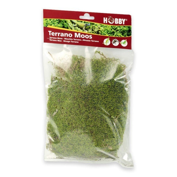 Terrano Natural Moss - Shopivet.com