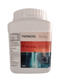 THERMOVIL 1kg for increasing weight and eggs - Shopivet.com
