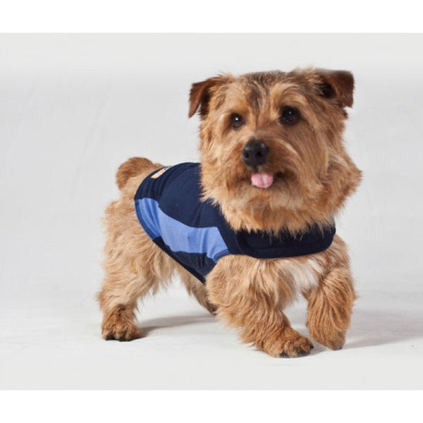THUNDERSHIRT DOG BLUE ملابس للكلب - Shopivet.com