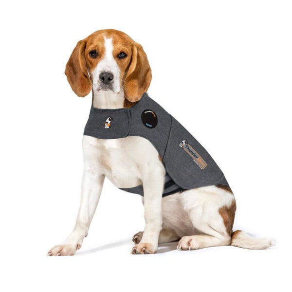 THUNDERSHIRT DOG GREY M GB ملابس للكلب - Shopivet.com