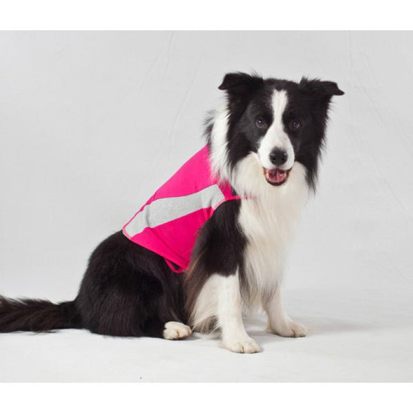 THUNDERSHIRT DOG PINK XS ملابس للكلب - Shopivet.com