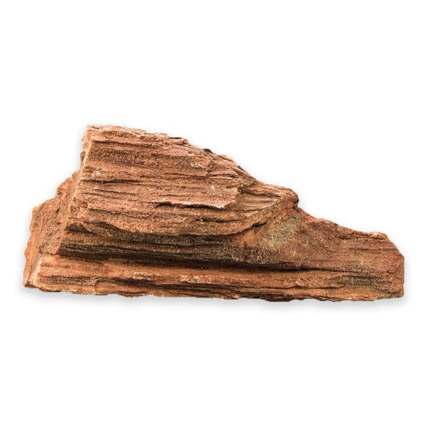 Timber Rock 4 - Xtra Large - Shopivet.com