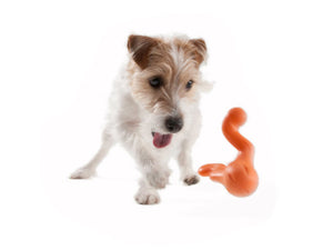 Tizzi Dog Toy - granny - smith - Shopivet.com