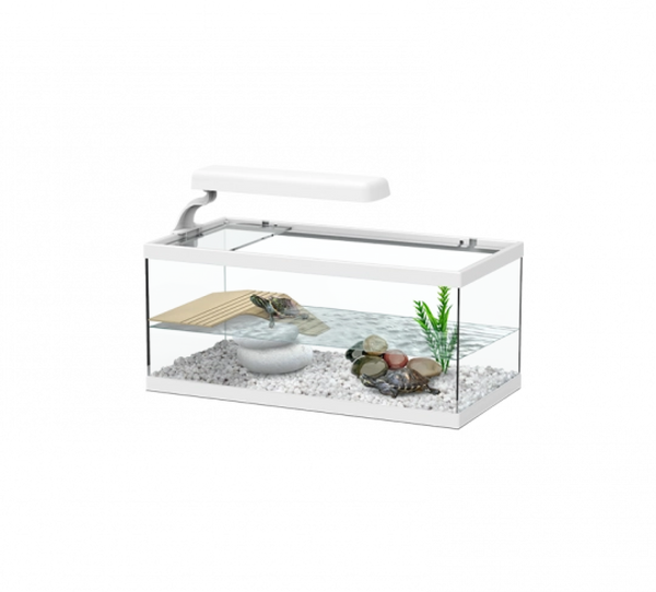Tortum Turtle Tank 40 x 20 x 16 cm, White