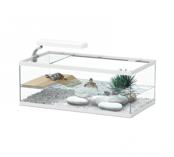 Tortum Turtle Tank 55 x 30 x 20 cm,  White