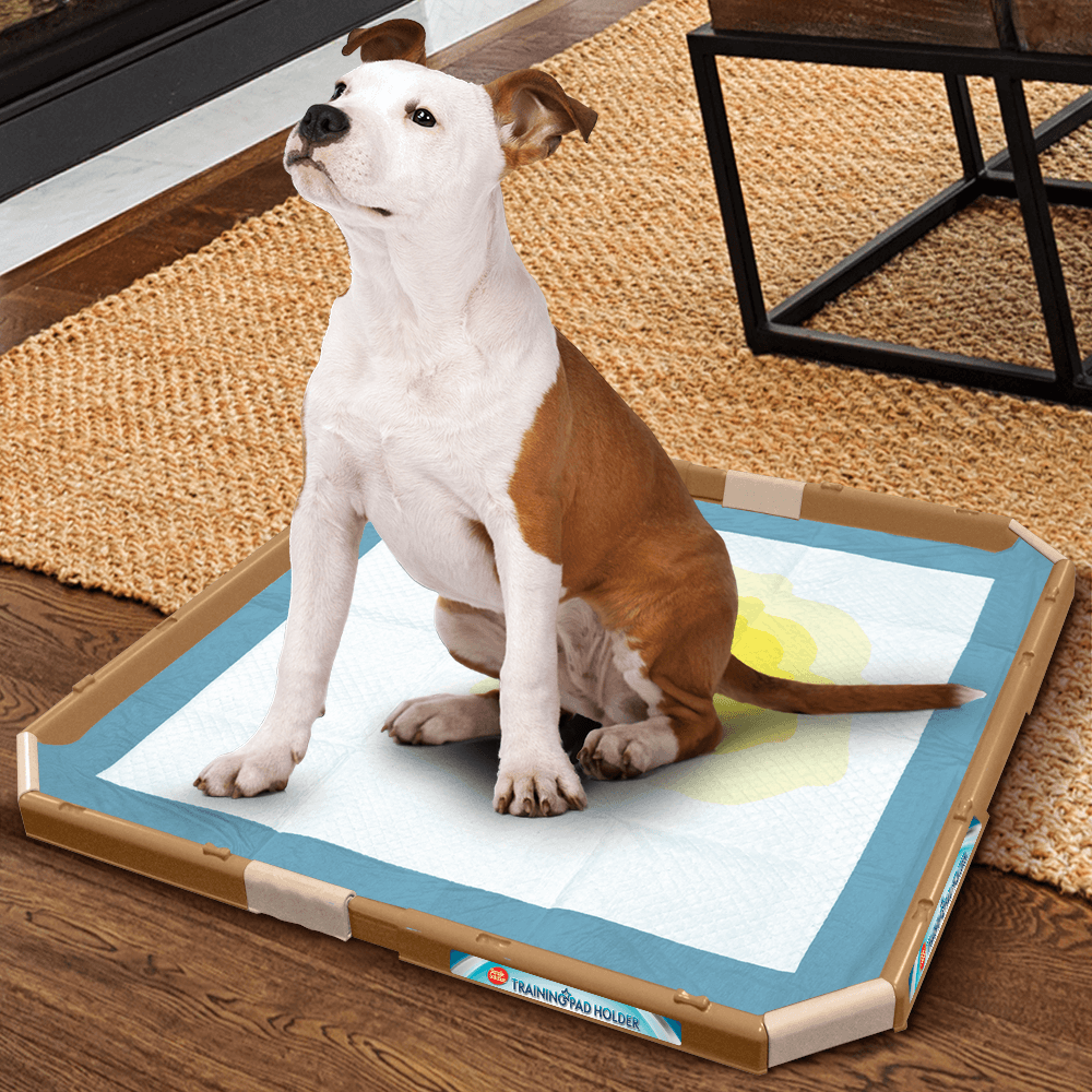 Training Pad Holder - Shopivet.com