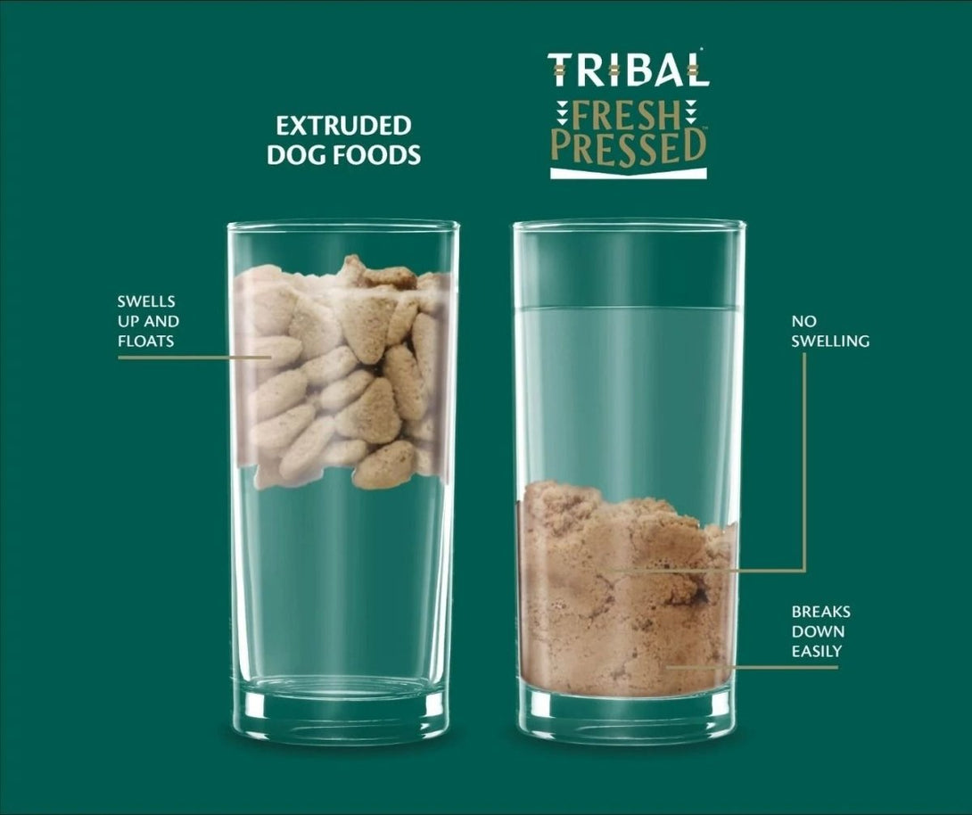 Tribal Fresh Pressed Chicken Adult Dry Dog Food - 12kg - Shopivet.com
