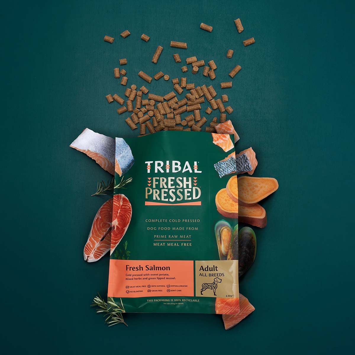 Tribal Fresh Pressed Complete Fresh Salmon Adult Dry Dog Food - 2.5kg - Shopivet.com