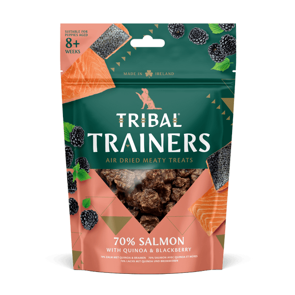 Tribal Trainers Salmon Quinoa & Blackberry Dog Treats 80g - 80g - Shopivet.com