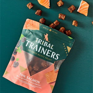 Tribal Trainers Salmon Quinoa & Blackberry Dog Treats 80g - 80g - Shopivet.com