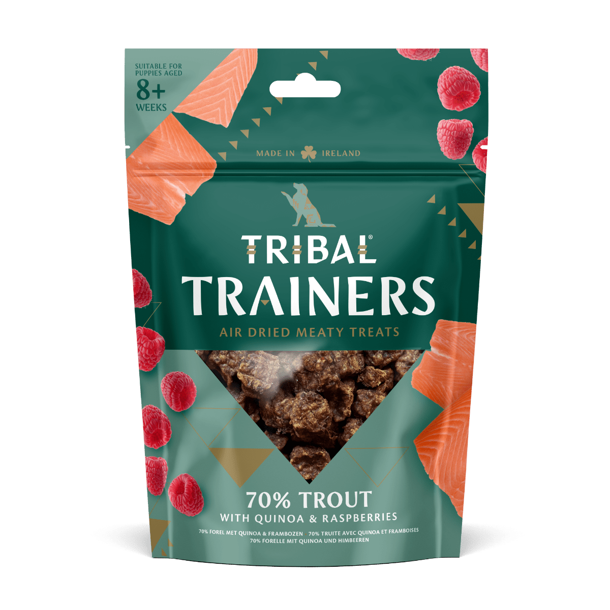 Tribal Trainers Trout Quinoa & Raspberry Dog Treats 80g - 80g - Shopivet.com