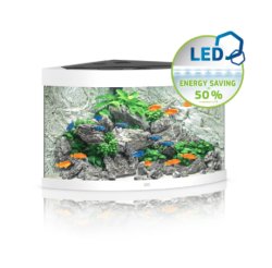 Trigon 190 LED - Shopivet.com