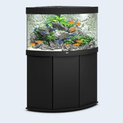 Trigon 190 SBX Cabinet - Shopivet.com