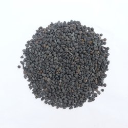 Tropical Rainforest Gravel 2-5mm, 8KG - Shopivet.com