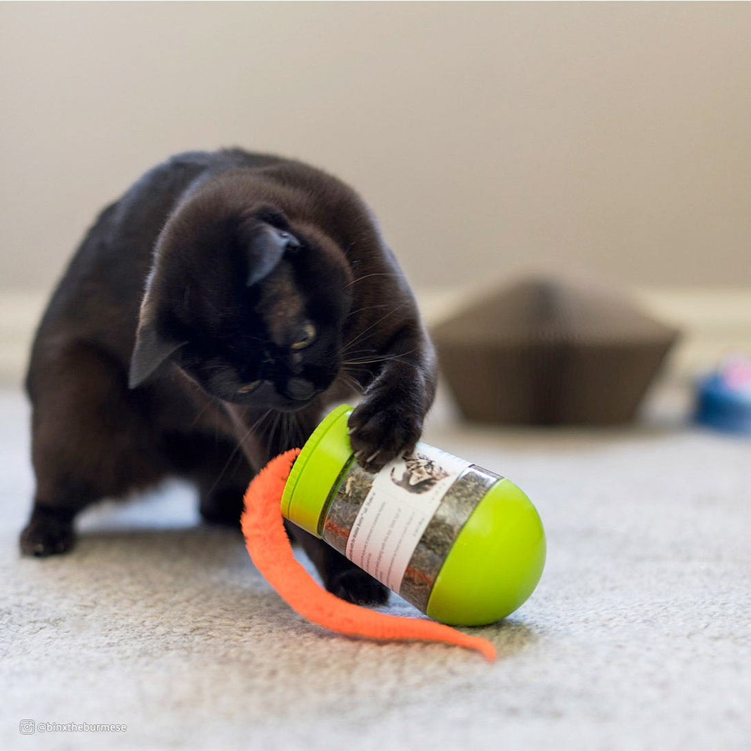 Turbo Wobble Bottle Catnip Cat Toy - Shopivet.com