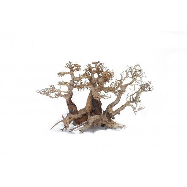 TWINS BONSAI WOOD - LARGE / APPROX. 2PCS - Shopivet.com