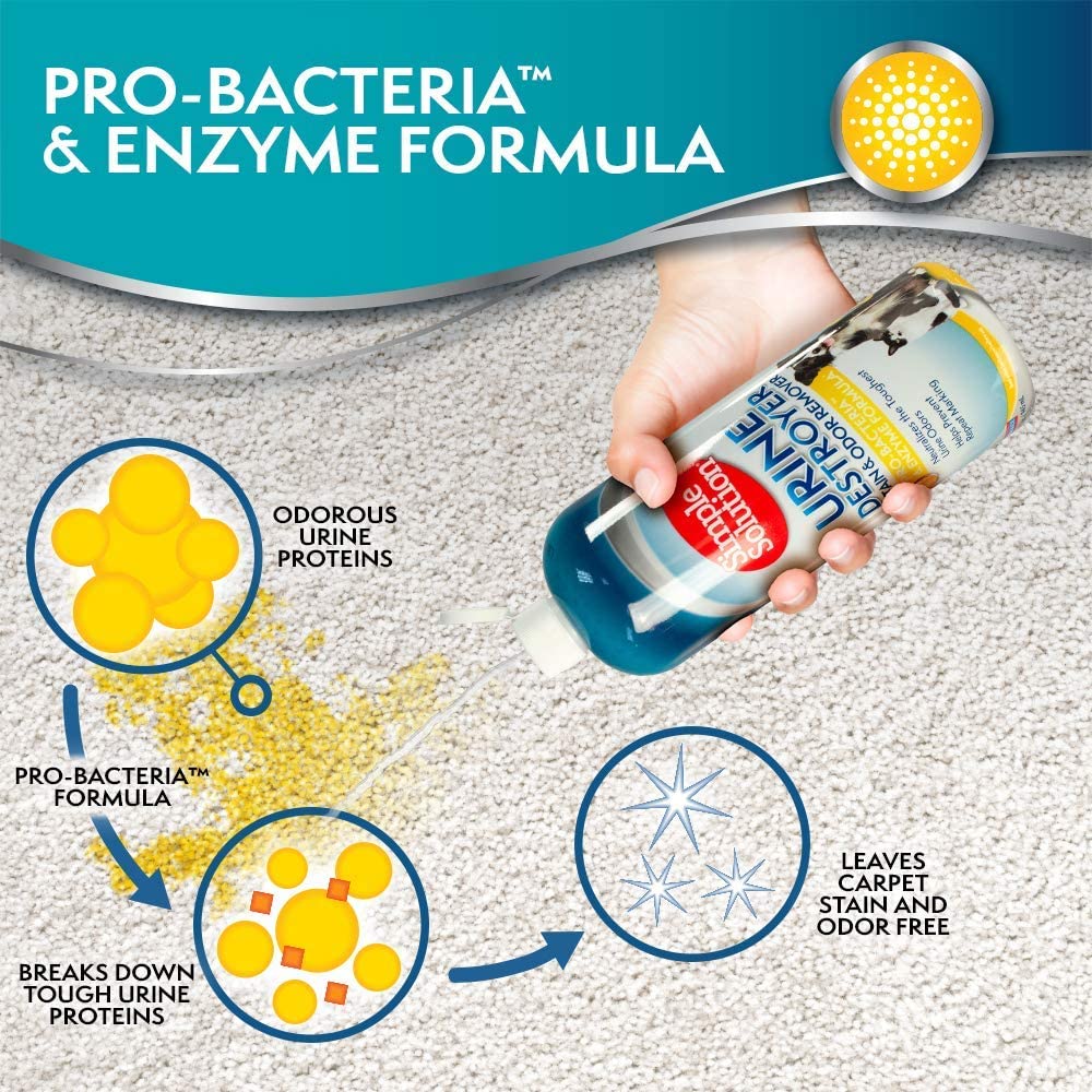 Urine Destroyer Stain And Odor Remover, 32 OZ - Shopivet.com