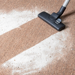 Urine Dry Carpet Powder, 24 OZ - Shopivet.com