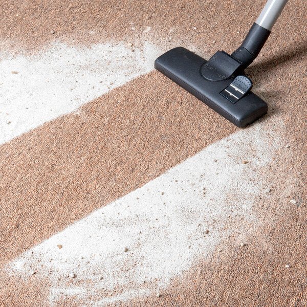 Urine Dry Carpet Powder, 24 OZ - Shopivet.com