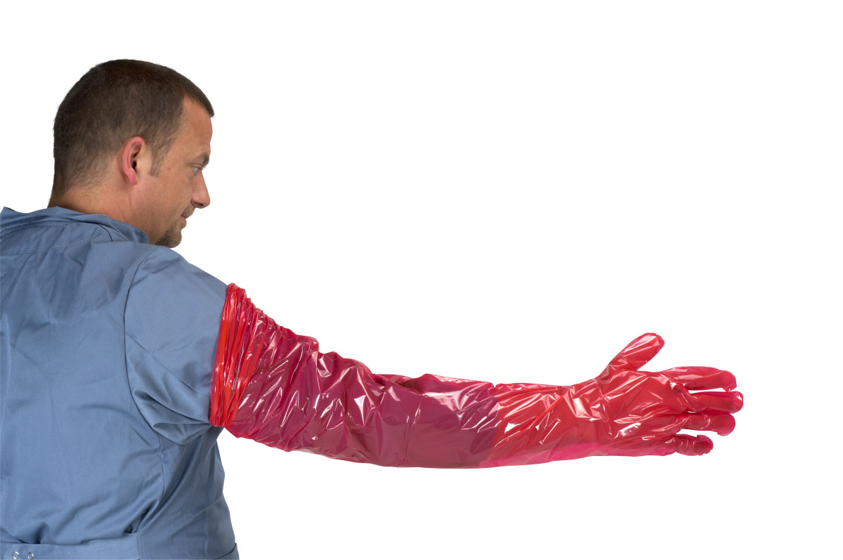 Valueline Examination Glove, 95 cm, 100/pk