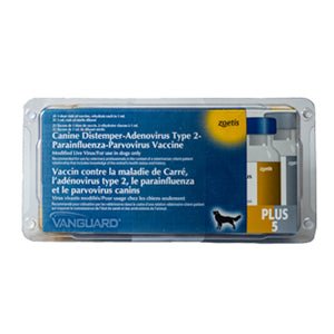 Vanguard® plus 1 ampoule - Shopivet.com