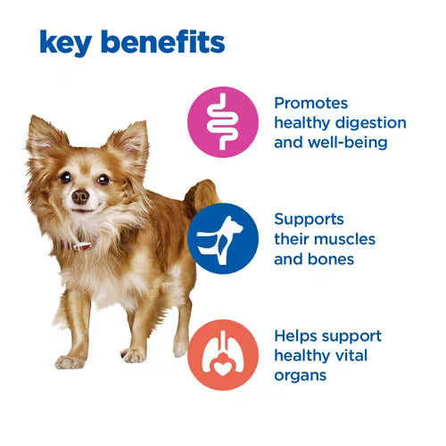 Hill’s Vet Essentials Multi-Benefit Adult Small & Mini Multi Benefit Dog Food (2KG)