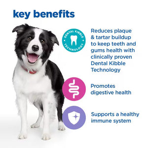 Hill’s Vet Essentials Multi-Benefit + Dental Adult 1+ Medium And Large Breed Dry Dog Food (2KG)