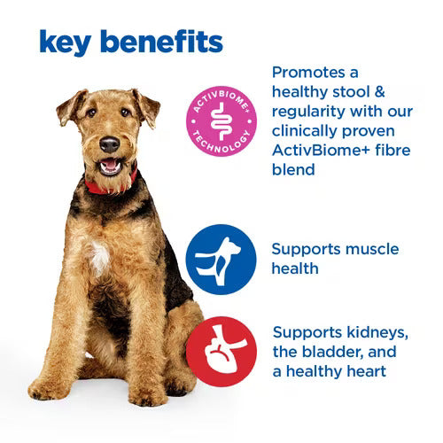 Hill’s Vet Essentials Multi-Benefit + Digestion Adult Medium Breed Dog Food with Chicken (2KG)