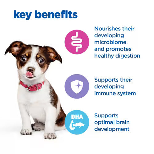 Hill’s Vet Essentials Multi-Benefit Puppy Medium Dry Food (700G)