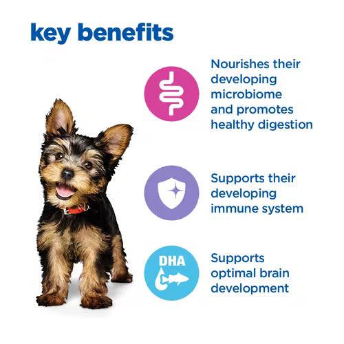 Hill’s Vet Essentials Multi-Benefit Small & Mini Puppy Dry Food with Chicken (700G)